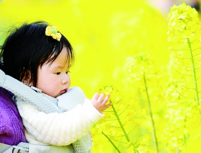 春光正好，鄉(xiāng)村旅游提質(zhì)升級(jí)再出發(fā)