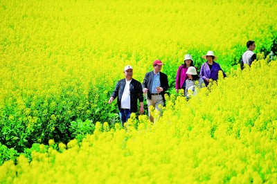 春光正好，鄉(xiāng)村旅游提質(zhì)升級(jí)再出發(fā)